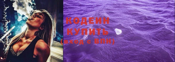 амф Бородино