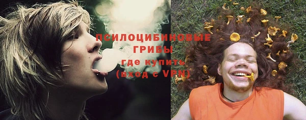 а пвп мука Бугульма