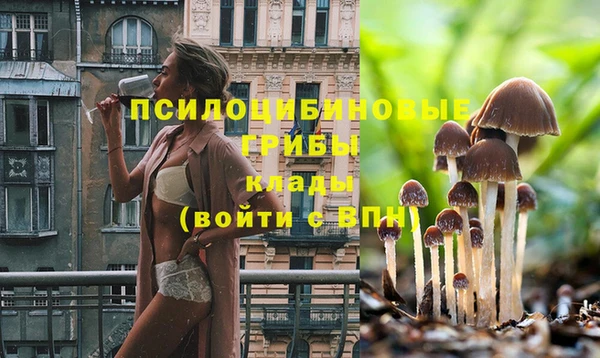 а пвп мука Бугульма