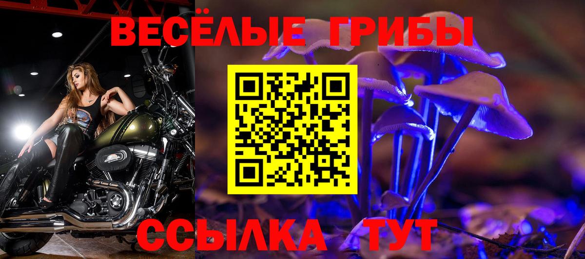 Кубинка  Псилоцибиновые грибы Psilocybine cubensis  Вход с VPN  Псилоцибиновые грибы мухоморы 